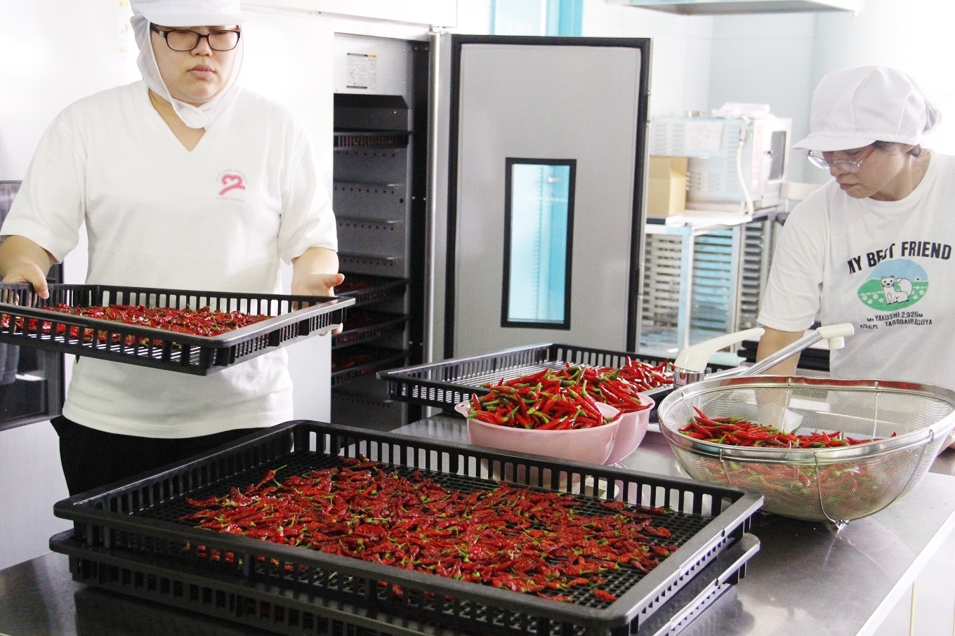 京丹波野菜と国産米油で作った京都丹波やさいおいる5本セット　[020KM001]