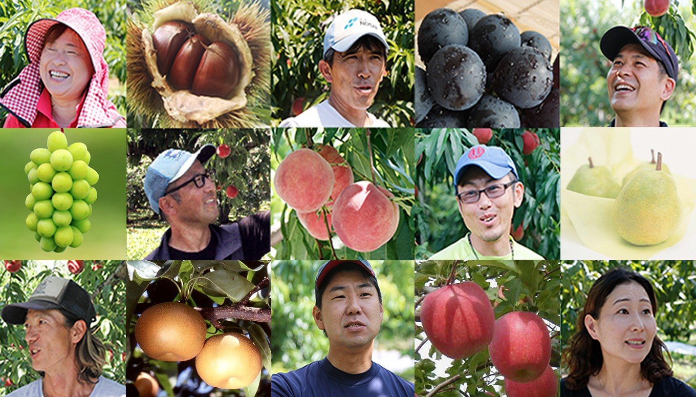 冬に食べるシャインマスカットとサンふじ詰合せ 1房（約500g） 2～3玉［おぶせファーマーズ］ ぶどう りんご 林檎 リンゴ 果物 フルーツ  長野 信州 数量限定 令和7年産【2025年11月下旬～2026年1月下旬発送】