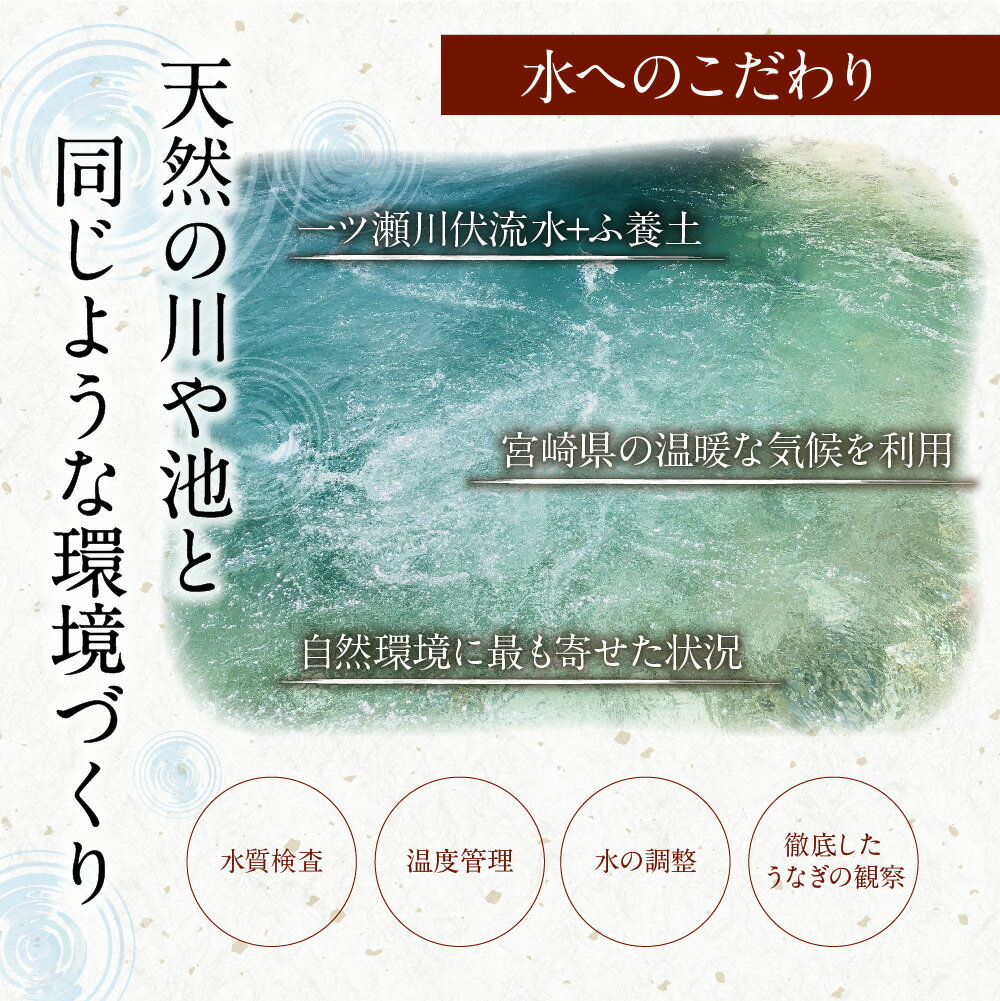 新仔‼味鰻の手焼備長炭蒲焼 5尾(無頭)化粧箱入 熨斗対応可【D109-2311】