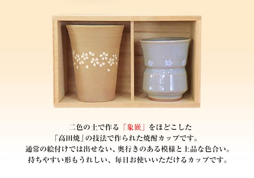 「肥後高田焼 伝七窯」の酒器セット 《90日以内に出荷予定(土日祝除く)》 熊本県氷川町 st-p
