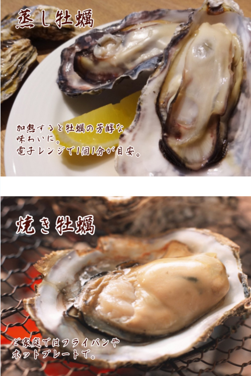 【国産】殻付き牡蠣 旅する牡蠣 プレミアムオイスター 室津 8~10個入り 室戸海洋深層水 生食用 生食 生ガキ 生食用カキ カキ 牡蠣 かき 魚貝類 冷蔵 先行予約 10000円 1万円 送料無料 ak003