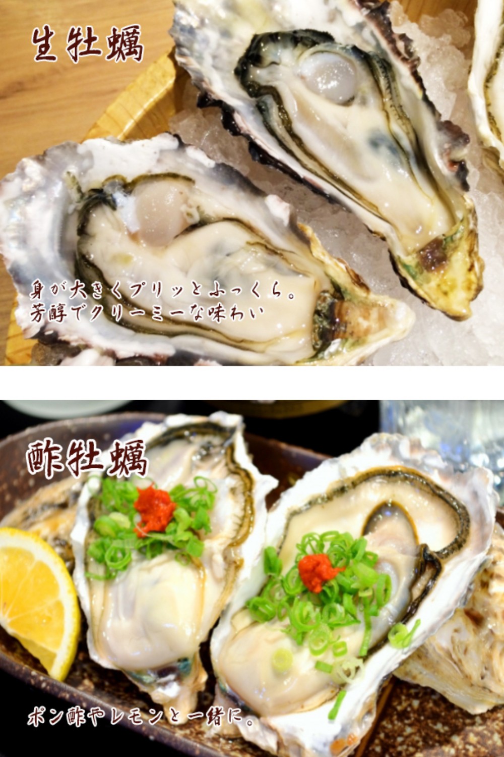 【国産】殻付き牡蠣 旅する牡蠣 プレミアムオイスター 室津 8~10個入り 室戸海洋深層水 生食用 生食 生ガキ 生食用カキ カキ 牡蠣 かき 魚貝類 冷蔵 先行予約 10000円 1万円 送料無料 ak003