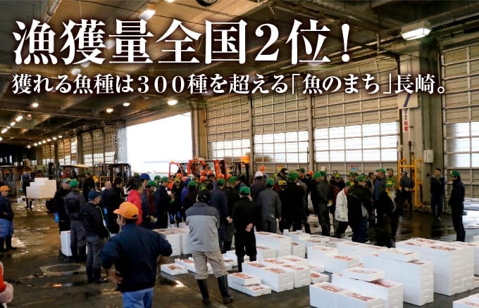 A276a 《定期便》干物・西京漬食べ比べセット 丸富水産 【12回お届け】