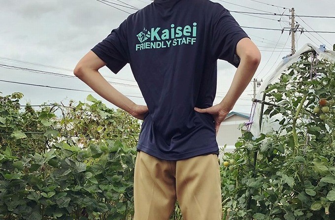 《無農薬栽培唐辛子使用》旨辛せんべい『こころ辛(から)』6袋セット 【思いやり型返礼品】就労継続支援A型事業所支援品 010-G-BK009