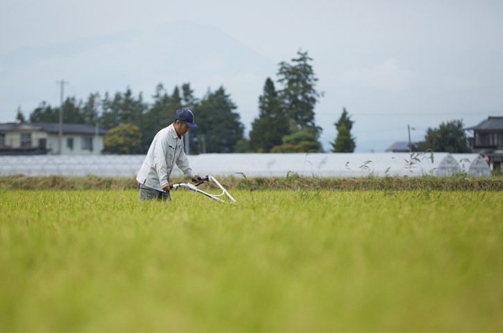 令和7年産 岩手県矢巾町 ひとめぼれ精米10kg/岩手県 矢巾町産 ひとめぼれ 贈り物 新米 厳選米 ブランド米 定期便 美味しいお米 産地直送 予約 人気 お取り寄せ 高評価 ふるさと 田舎 安心 安全 高品質 10kg