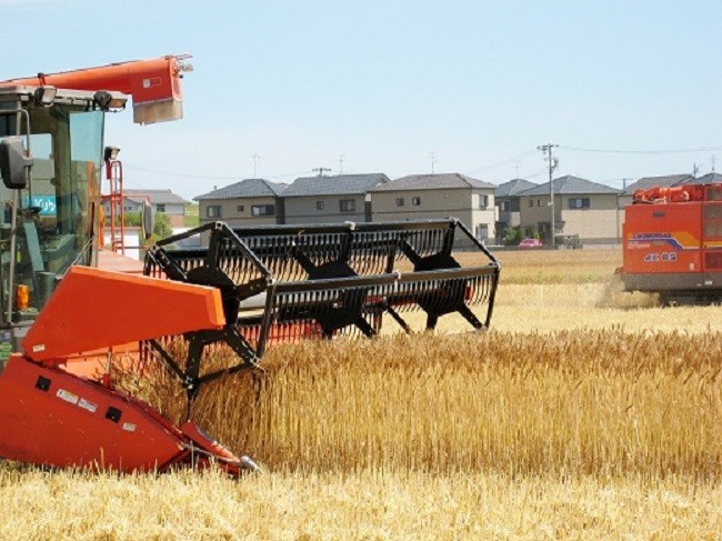 【乾麺】碧海の恵み ひやむぎ 愛知県 徳用セット3.75kg(250g×15袋) 乾麺 愛知県産 小麦 きぬあかり モチモチ 夏 麺 大容量 常備食 H008-228