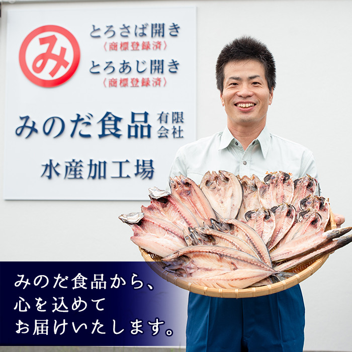 No.406 <選べる重量>大きめ干物詰合せ<合計2kg~3.6kg!> 干物 セット 詰め合わせ ひもの 魚介類 魚 おかず おつまみ お楽しみ 【みのだ食品】