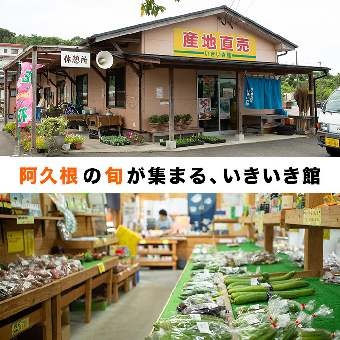 <先行予約受付中!2026年6月以降順次発送予定>鹿児島県産!南国グリーンメロン(2Lサイズ×2個) メロン めろん 果物 スイーツ デザート フルーツ【あくね旬の店いきいき館】akn015-17