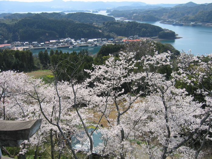 波多津の町おこしに参加ください!【思いやり型返礼品(協賛型)】 103-O001