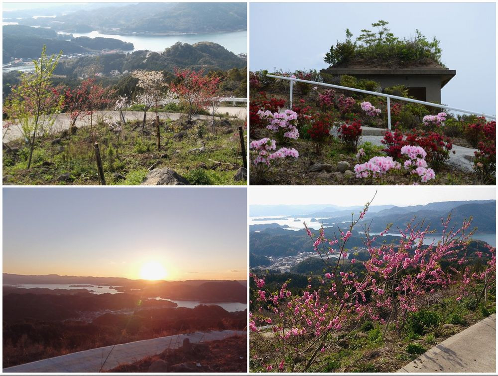 波多津の町おこしに参加ください!【思いやり型返礼品(協賛型)】 103-O001