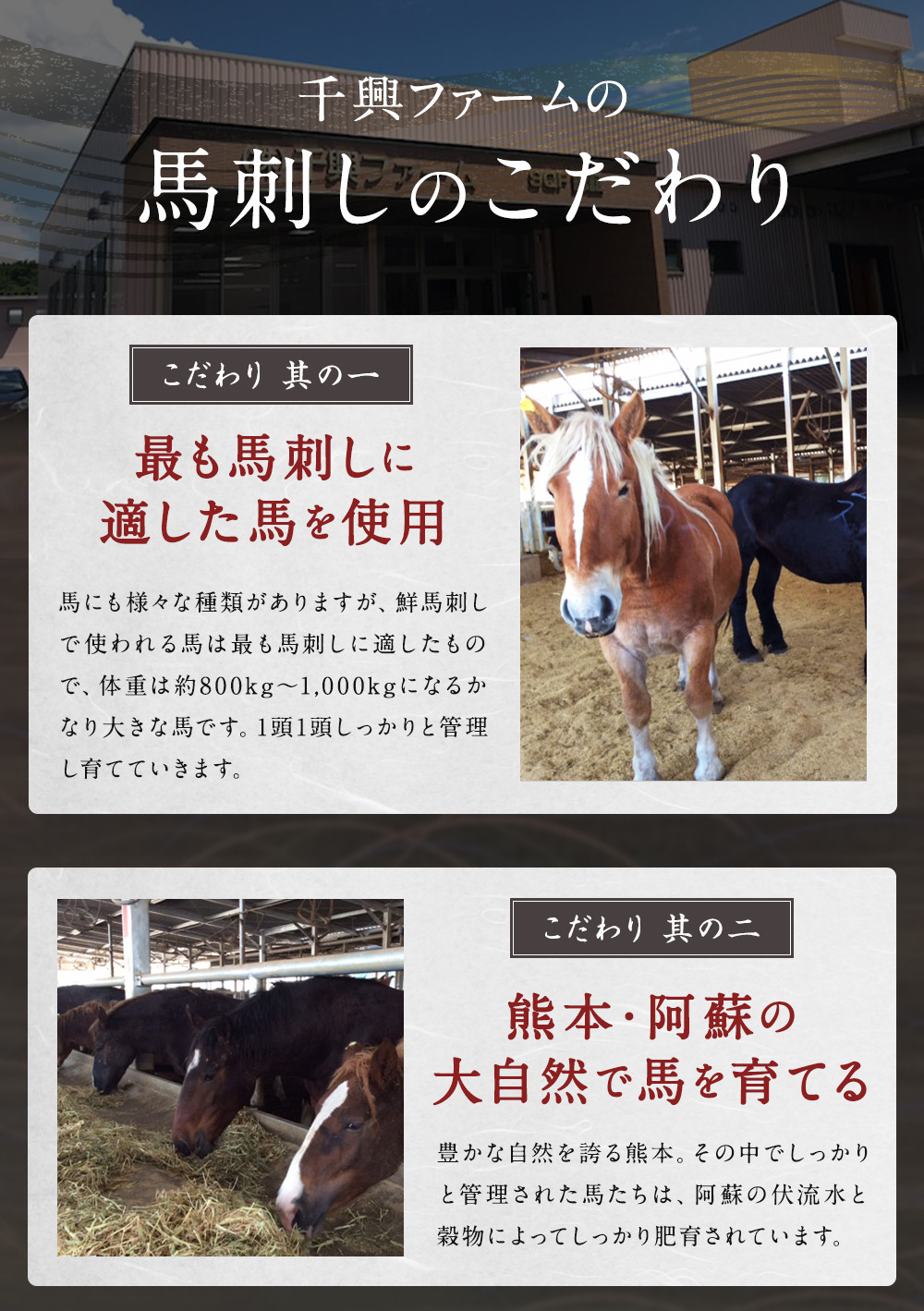 霜降り 馬刺し 約320g 約90g×3～5個パック たれ付き