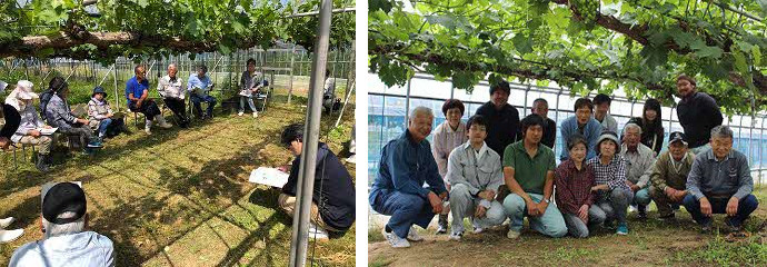 【先行予約】【2026年産】山陰浜田の特産果樹ピオーネ(2kg)<8月下旬から発送開始予定> ふるさと納税 ぶどう ふるさと納税 ピオーネ ブドウ 葡萄 フルーツ くだもの 果物 【010_1945】