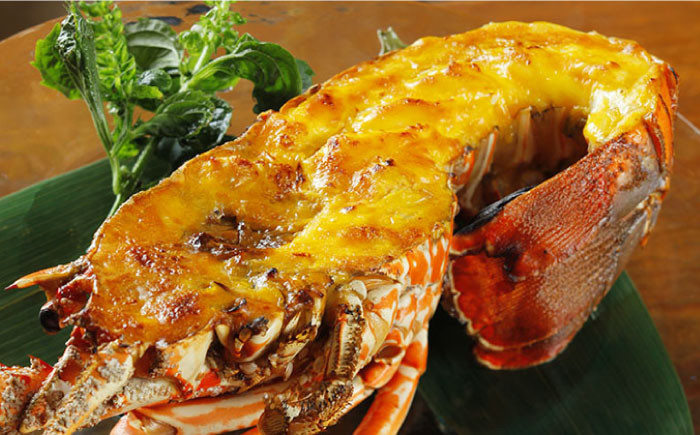 天然 伊勢海老 【横綱級のデカさ！】崎戸産の 天然 伊勢海老 1〜2尾（計約1.5kg）[CAW002]＜西海大崎漁協 崎戸支所＞ 長崎 西海 伊勢海老 伊勢エビ エビ 天然 贈答 ギフト エビ イセエビ 高級エビ 天然エビ お祝い 記念日 西海市 崎戸産 伊勢海老 高級品 人気