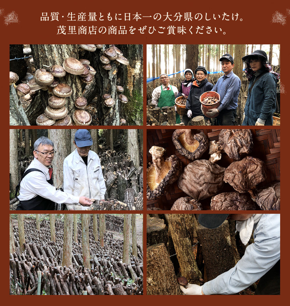 015-958x1 どんこ椎茸 小袋セット  300g(50g×6袋)うまみだけ 【2025年4月上旬以降順次発送】