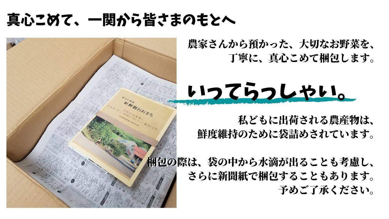 【定期便 全7回】産地直送 新鮮野菜セット《10品以上》 旬野菜 詰め合わせ 採れたて 定期便 季節 野菜 おまかせ 旬 春野菜 夏野菜 秋野菜 果物 新鮮 岩手県産 国産 詰め合わせ 定期便 定期 人気 岩手県 一関市