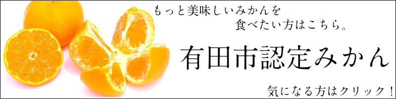 有田みかん「未来への虹」(10kg)(A2-2)