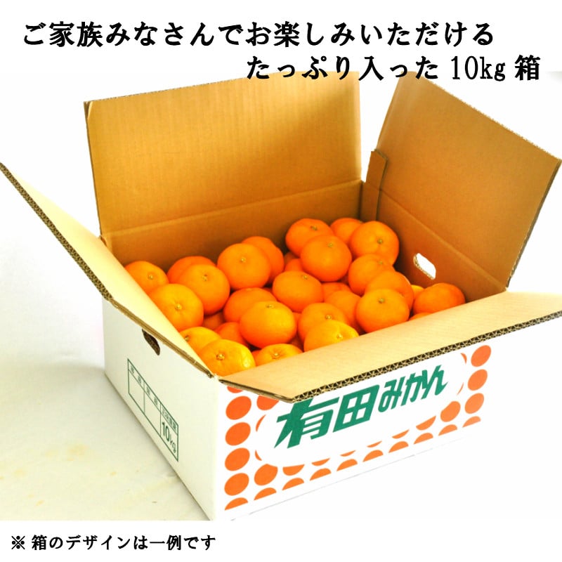 有田みかん「未来への虹」(10kg)(A2-2)