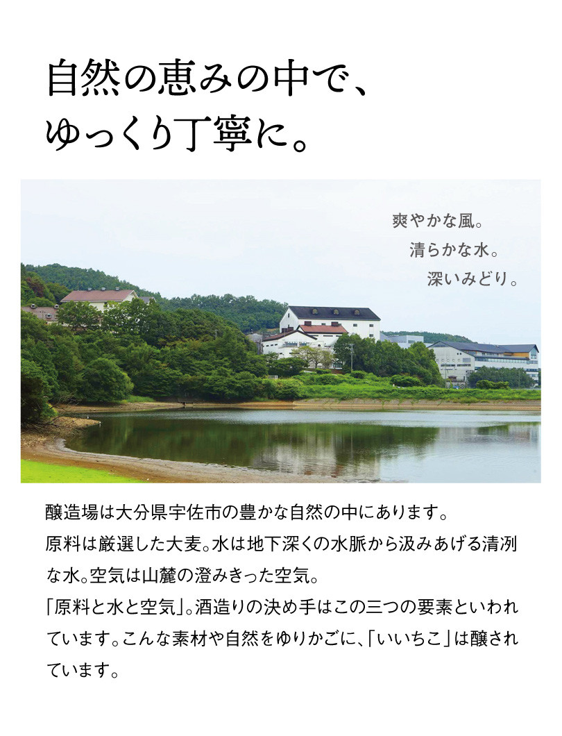 いいちこ/西の星 ビン(合計3.6L・1.8L×2本)酒 お酒 むぎ焼酎 1800ml 麦焼酎 いいちこ 西の星 常温 三和酒類 飲み比べ ギフト 贈り物【104303000】【山添産業】