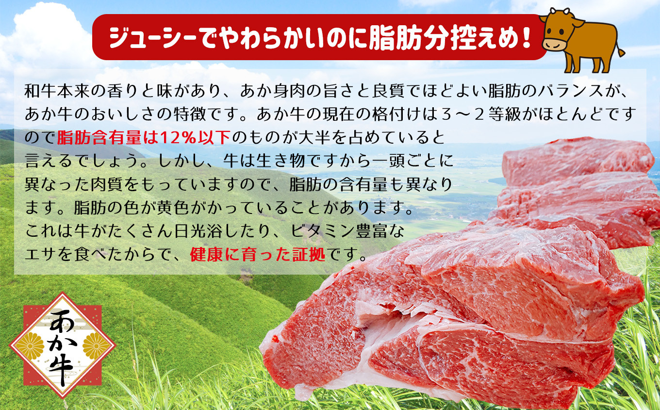口どけなめらか あか牛 すき焼き用 1000g | 肉 にく お肉 おにく 牛 牛肉 和牛 すき焼き 熊本県 玉名市