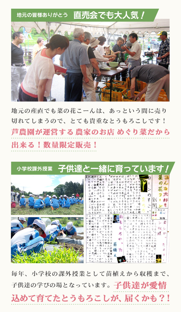 【 2026年 先行予約 】朝採れ とうもろこし「菜の花こーん」8～10本 A3L～A2Lサイズ 高糖度  濃厚 生食 農家直送 朝 もぎたて トウモロコシ 岩手県 一関市　【2026年7月下旬から発送予定】
