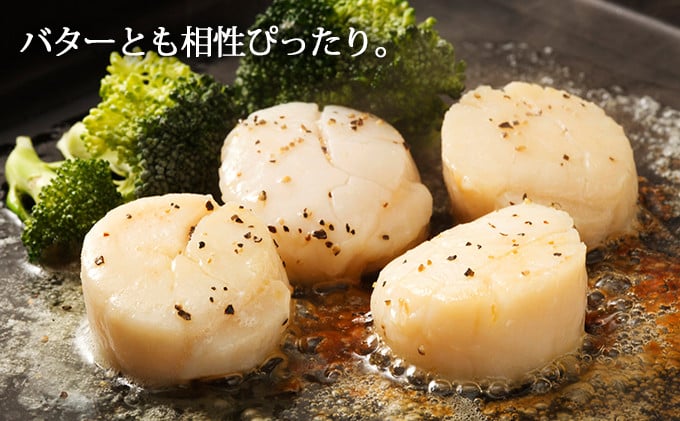 北海道厚岸産　殻付き貝あさり1.5kg アサリ 魚介類 砂出し済み 海水入れた状態  [№5863-0783]