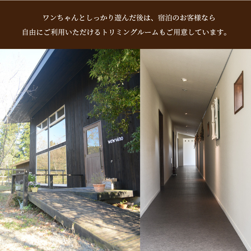 犬と泊まれるペンション「wanvino」5000円分宿泊券  K15_0005_1