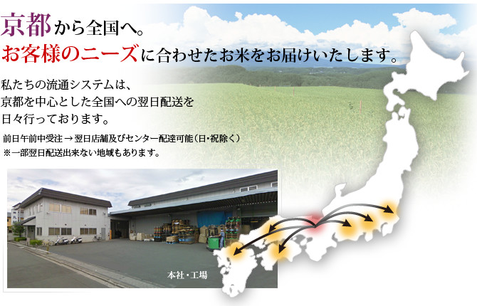 令和7年産 京都丹波産 こしひかり 5kg ※米食味鑑定士厳選 ※精米したてをお届け【京都伏見のお米問屋が精米】米 令和7年産 ※沖縄本島・離島への配送不可 ※2025年11月上旬頃より順次発送予定
