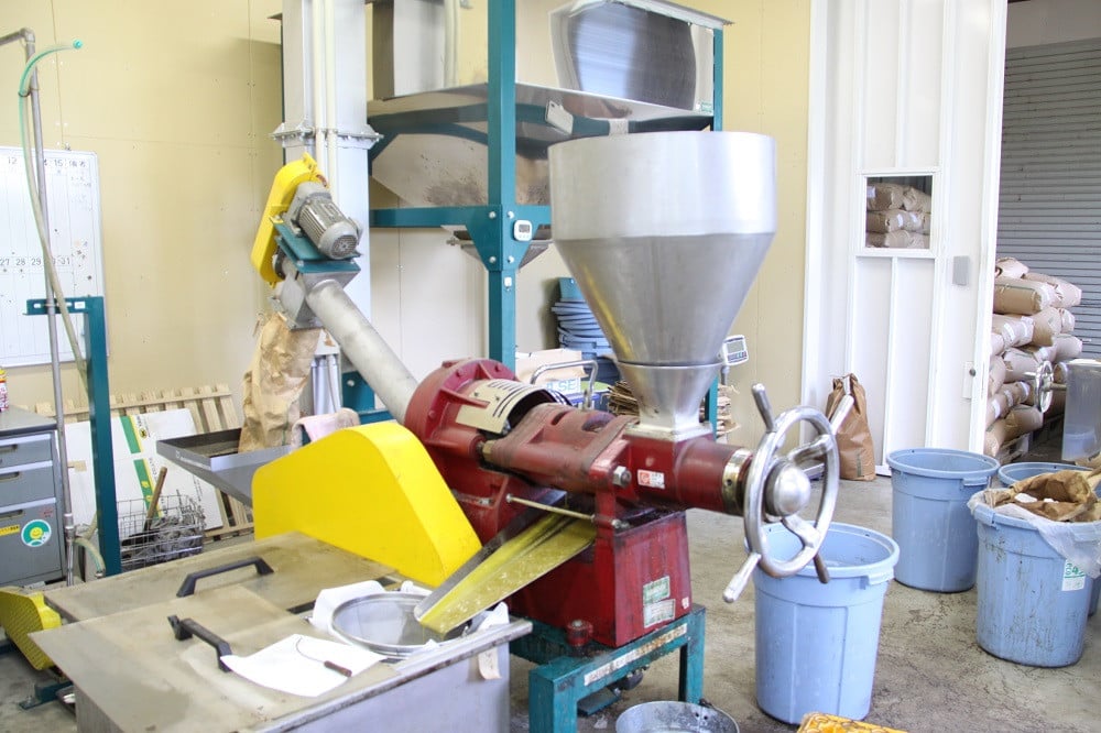 【ハイオレイック】ひまわり油(138g×6本)【黒瓶/箱入】