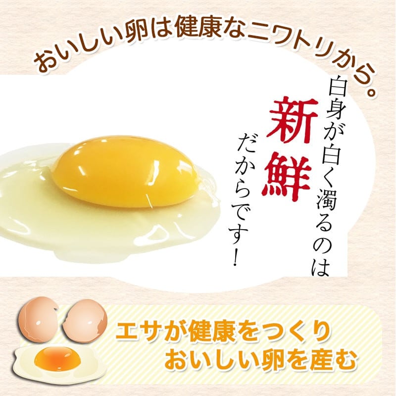 アスタキサンチン入り赤卵「高崎のめぐみ」120個_MJ-6802_(都城市) 赤卵 L玉~M玉 120個 重量約7kg アスタキサンチン入り 新鮮たまご 玉子焼き 化粧箱入り