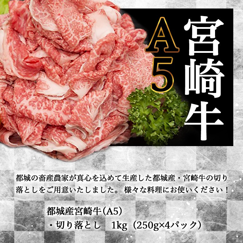 宮崎牛切り落とし(A5)_AC-A0-001_(都城市) 牛肉 都城産宮崎牛(A5) 切り落とし 1kg(250g×4パック) 『内閣総理大臣賞』を受賞した生産者のお肉です! ブランド牛 国産黒毛和牛 霜降り 切落し合計1キロ すき焼き・しゃぶしゃぶに A5等級
