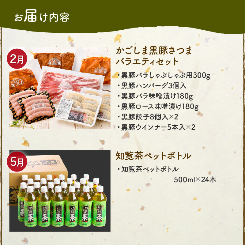 ＜発送月固定定期便＞南九州まんぞく定期便　ライト全4回【4014691】