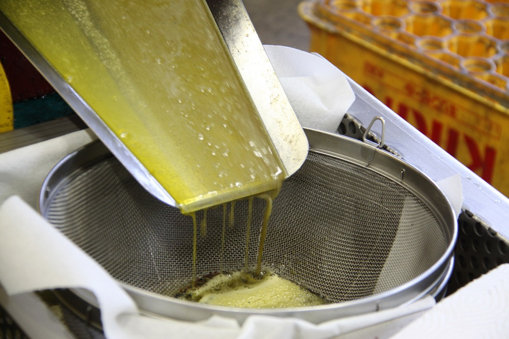 【油／香味油】究極の香味オイル3種（ねぎ油、ラー油、ねぎ塩たれ）無添加 | 香味油 菜花油 無添加油 油オイル 食用油 調味油 料理油 香味 ラー油 豊後高田市