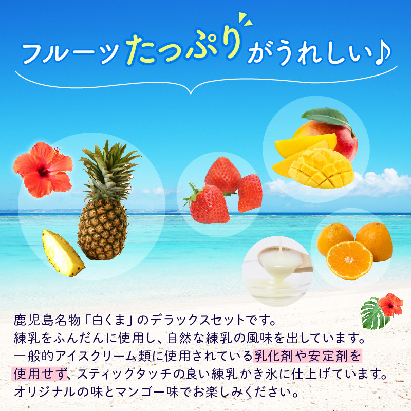 062-8-16 鹿児島名物 南国白くまDX詰合せ