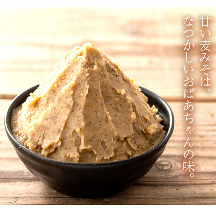 寺田屋 手づくり麦みそ 5kg(1kg×5個) 子どもにも評判の優しい味付けの麦味噌♪冷蔵 麦みそ【A-1689H】