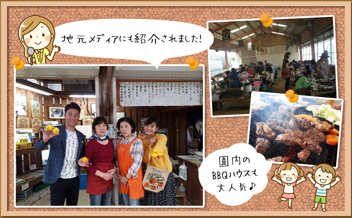 柑橘 ジャム おまかせ 3本 セット 水本オレンジガーデン | ジャム 果物 くだもの フルーツ 柑橘 かんきつ デコポン でこぽん ミカン みかん はっさく 八朔 甘夏 詰め合わせ パン 朝食 果肉 加工食品 熊本県 玉名市