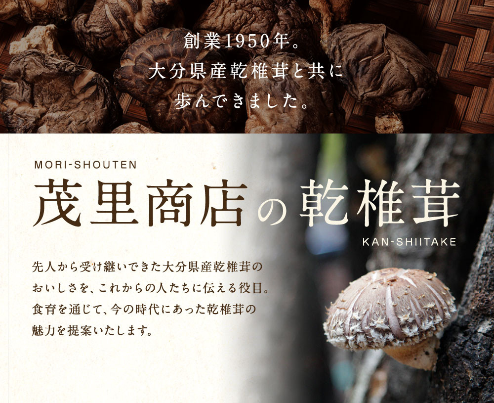 015-1221x1 豊後大野市産 椎茸 詰め合わせA 6袋セット うまみだけ