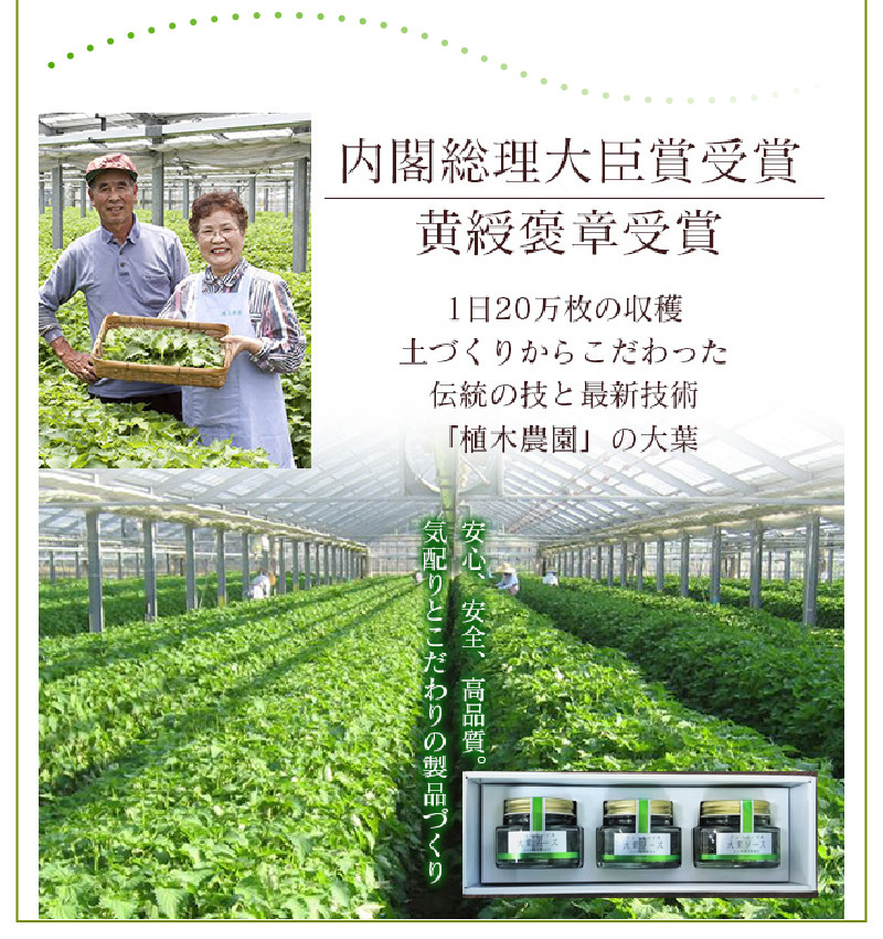 ジェノベーゼ風大葉ソース 3個セット ジェノベーゼソース 大葉ソース 大葉 しそ パスタ 植木農園 カルパッチョ ソース イタリアン ジェノベーゼ 調味料 内閣総理大臣賞受賞 ギフト 送料無料 魚 肉 料理 サラダ ドレッシング K01010