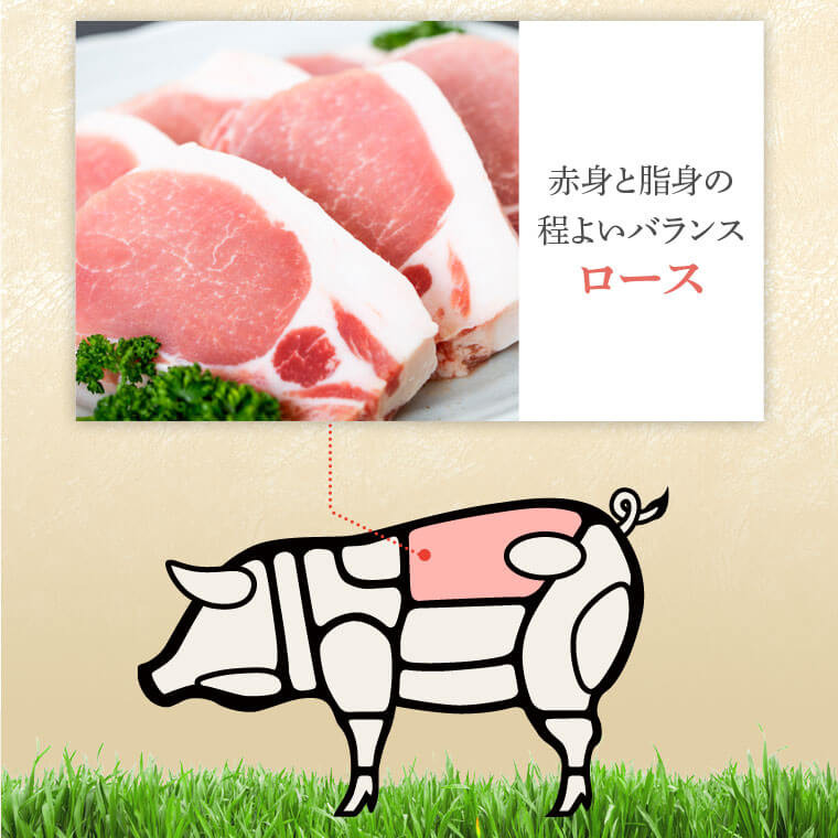 A05051 鹿児島県産厚切り豚ロースステーキ用(約1kg)鹿児島 豚肉 ポーク ロース 厚切り とんかつ トンテキ ステーキ【大将食品】