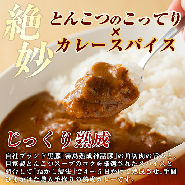A-044 とんこつベースの霧島神話豚カレー5食入り(160g×5袋)【富士食品】霧島市 レトルトカレー 常温保存