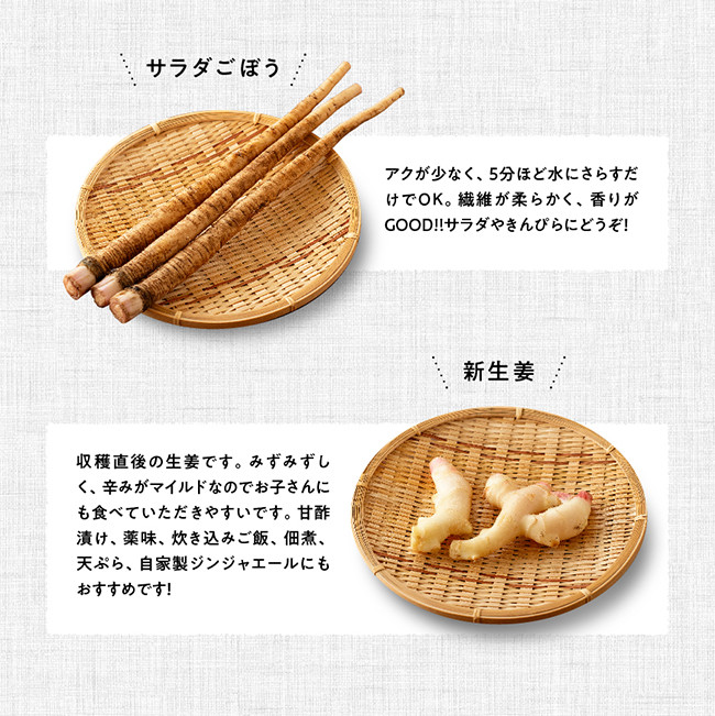 産直　おすず村　厳選詰め合わせセット（大） 【 旬野菜 フルーツ 直売所 産地直送 宮崎県産 】