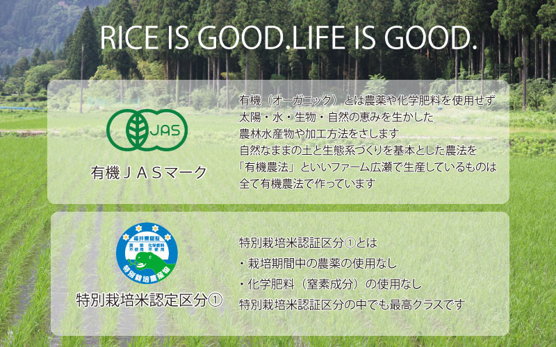 〈令和7年産〉【定期便12回】無農薬米10㎏×12回（こしひかり）玄米