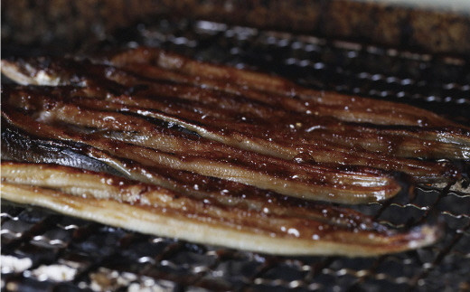 あなご 先行予約 山銀商店 かば焼き あなご (合計約300g)  産地直送 穴子 魚介類[№5735-0706]