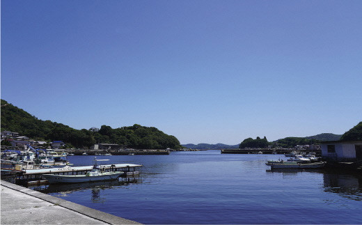 あなご 先行予約 山銀商店 かば焼き あなご (合計約300g)  産地直送 穴子 魚介類[№5735-0706]