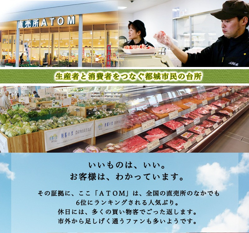 宮崎牛(A5)リブロースステーキ300g×2枚_AD-0103_(都城市)5等級 ステーキ用肉 300g×2枚セット ブランド牛肉 ブランド国産黒毛和牛 脂の旨味 ギフト 贈答用