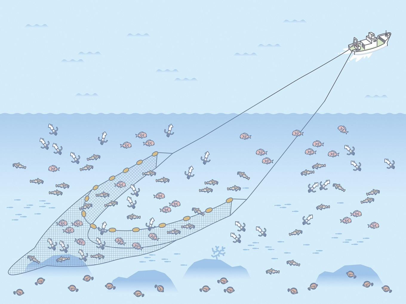 日生諸島　遊漁船体験