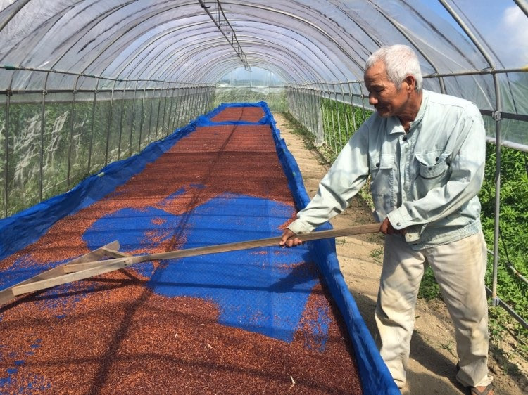 フローズンドーナツ12個 HYGGEセレクト(HYGGEドーナツの6種類×各2個)