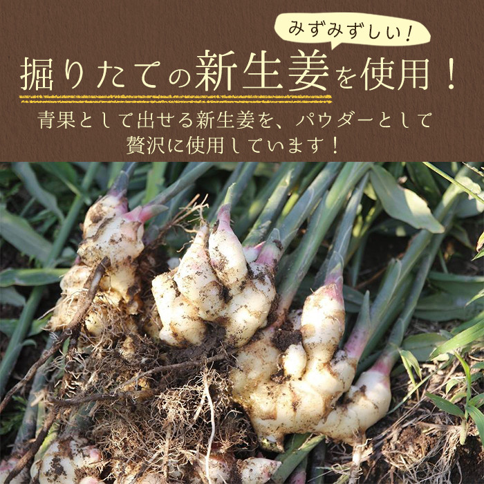 有機生姜使用!鹿児島県産ジンジャーパウダー 40g×3袋【00-071-01】