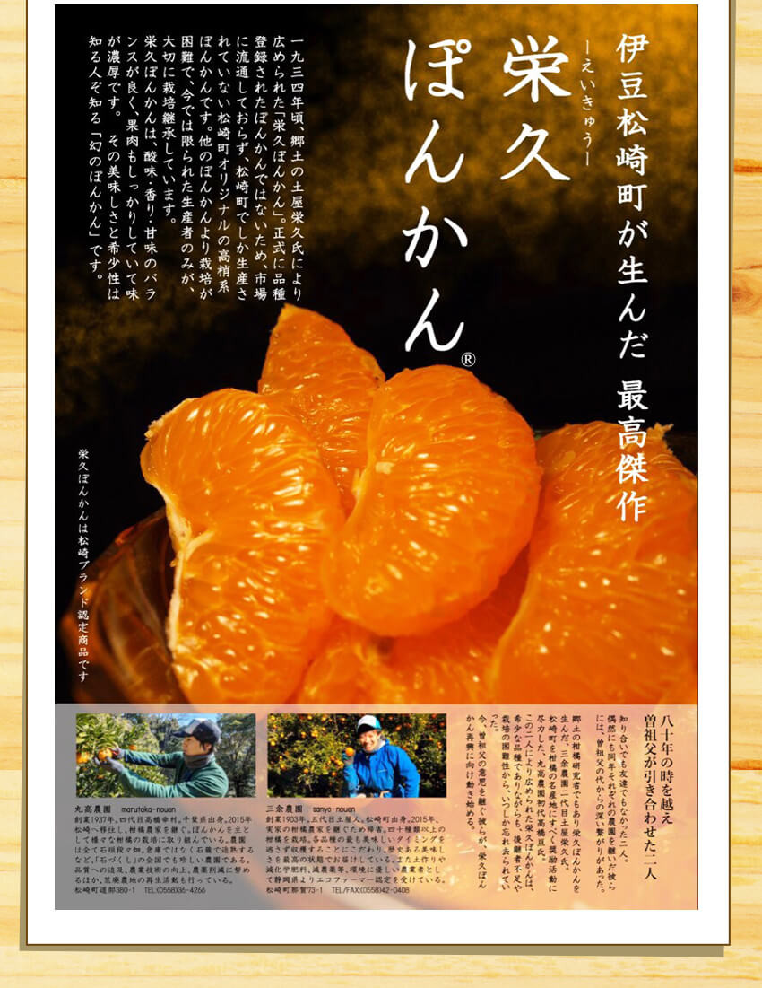 2025年3月上旬~中旬発送予定 栄久ぽんかん 2kg