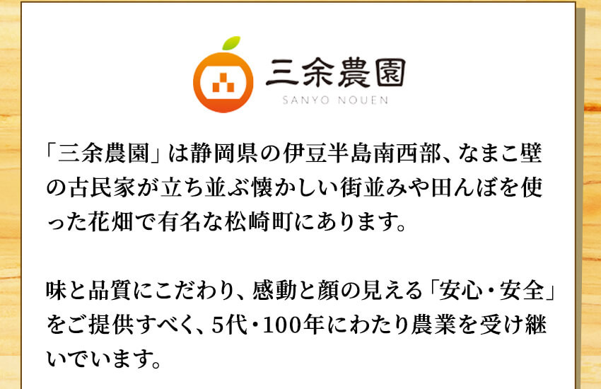 2025年3月上旬~中旬発送予定 栄久ぽんかん 2kg