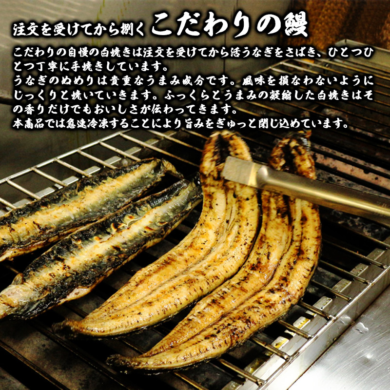 【急速冷凍】北川鰻の白焼き（4尾×4ヶ月） N010-YG0148